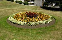 A Flower Bed in Queens Garden, Wanganui