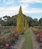 Wanganui Aramoho Cemetery